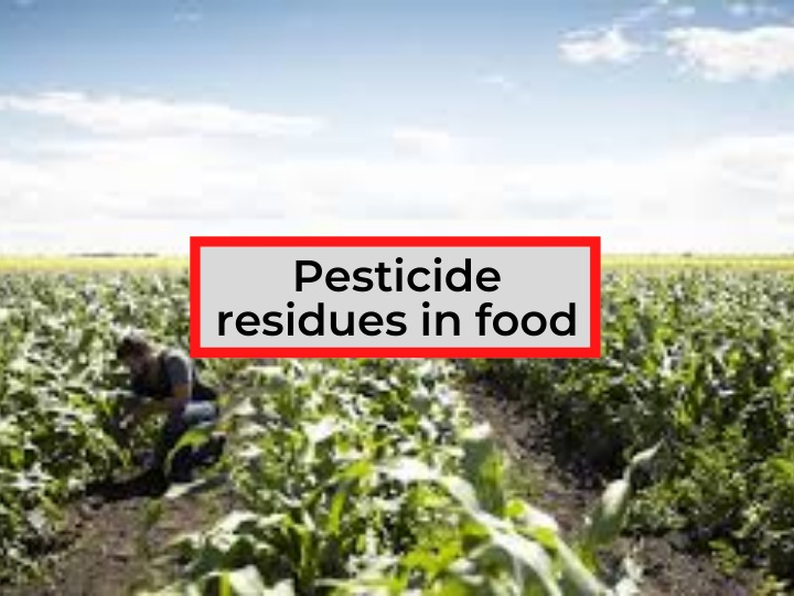 Food Safety Standard